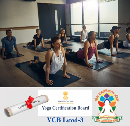 300 Hour Advanced Yoga Teacher Training