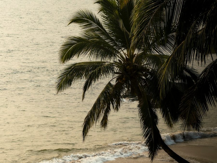 Yoga retreat in Goa
