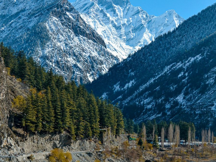 Yoga retreat in Manali