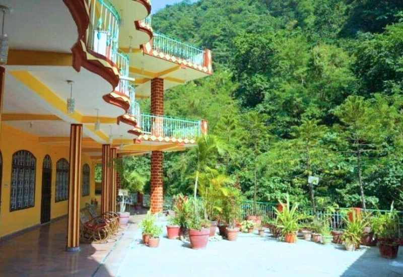 Campus Forest View — Rishikesh Sadan